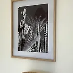 Vue A Couper Le Souffle - Nouveau Entierement Renove Daire Cannes